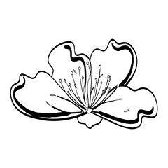 cute flower decorative icon vector illustration design