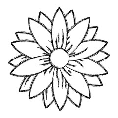 cute flower decorative icon vector illustration design