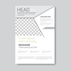 Template Design Brochure, Annual Report, Magazine, Poster, Corporate Presentation, Portfolio, Flyer With Copy Space Vector Illustration