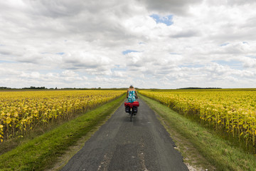 Farmland near Royan with Cyclist.