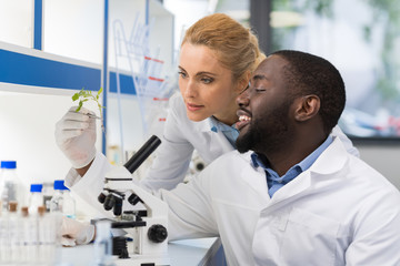 Scientists Looking At Sample Of Plant Working In Genetics Laboratory, Mix Race Couple Of Researchers Analyzing Result Of Experiment In Lab