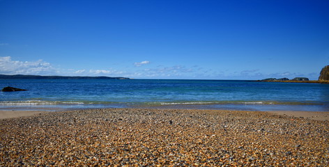 Beach Pebble Path