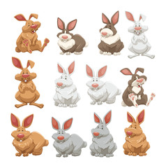 Rabbits with different fur colors