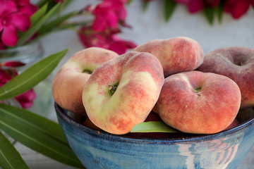 Bergpfirsiche in einer blauen Keramikschüssel mit Oleanderblüten