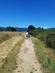 Fototapeta na wymiar Two women walking on a trail