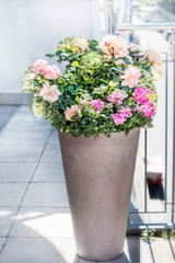 Beautiful patio pot with floral arrangements: roses, petunias and verbenas flowers on balcony or terrace. Urban Container planter gardening