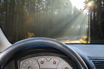 View from the car while driving on an asphalt road
