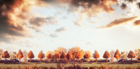 Beautiful autumn landscape panorama with trees, field and sky. Fall outdoor nature background, banner