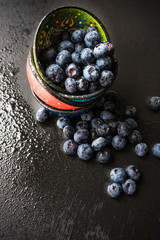 Organic food concept