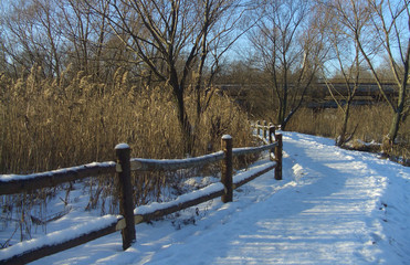 Winter path along the Yauza River