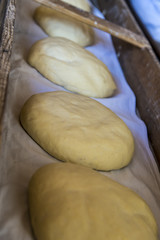 Fresh bread dough ready for baking
