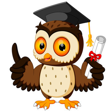 Owl cartoon wearing graduation cap