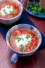 Ukrainian traditional borsch. Russian vegetarian red soup  in blue bowl on red wooden background.  Borscht, borshch with beet. Two plates. Close up.