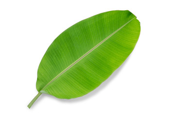 Obraz premium banana leaf isolated on white background, File contains a clipping path.