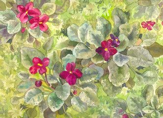 Watercolor purple violets. Burgundy flowers on the bed. View from above