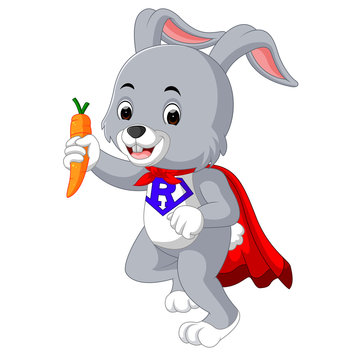 Happy rabbit cartoon holding carrot