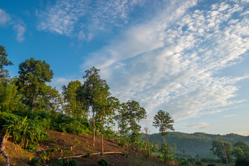 Clouds in the blue sky on a sunny day