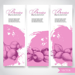 Farm fresh berries banners. Hand drawn berries. Blueberry, black currant and rose hip on rough pink watercolor paint background with white splashes. Vector berries illustration.
