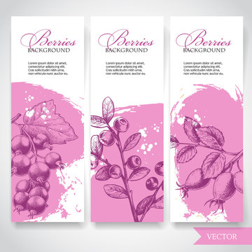 Farm fresh berries banners. Hand drawn branches  with berries. Blueberry, black currant and rose hip on rough pink watercolor paint background with white splashes. Vector berries illustration.