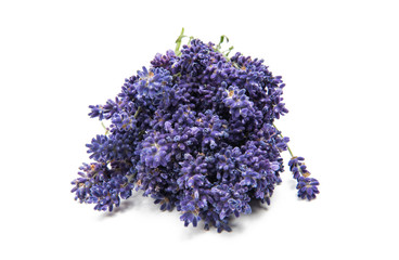 Bouquet of lavender isolated