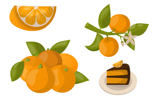 Ripe orange products fruits citrus slices sweet food realistic organic vector illustration.