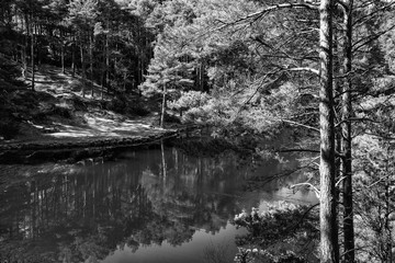 Beautiful landscape image of old clay pit quarry lake in black and white monochrome