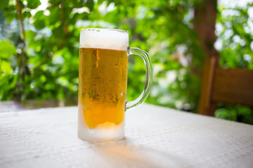 Glass with fresh lager beer.