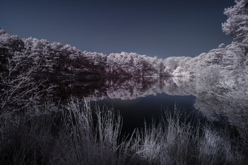 Beautiful false color surreal infrared landscape image of lake and surrounding forest
