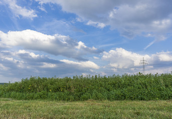 Fototapeta na wymiar Bewölkter Himmel über grünem Feld