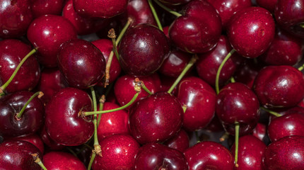 cherry detail macro of delicious fresh ripe red cherries with bright green stem, perfect food background Sweet cherry background. Cherry from Bolea Aragon Huesca Spain