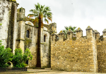 Fototapeta premium Sun and Beach holidays in Cadiz, Spain. Walls in Vejer de la Frontera.
