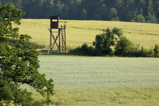 J&auml;gerstuhl oder Hochsitz in der Landschaft 