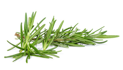 Rosemary isolated on the white background