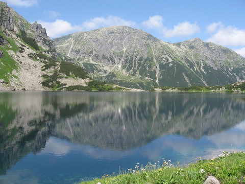 Grudki staw