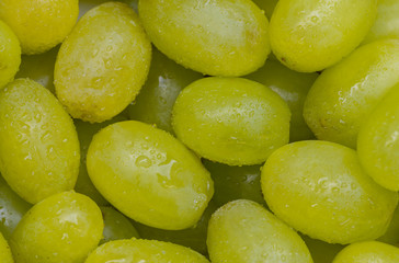 Grapes with Water Drops