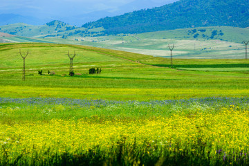 Amazing landscape with mountains and yellow field flowers, Armenia