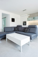 Sofa with table in modern house interior