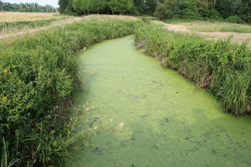 Ruisseau