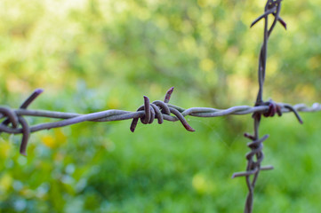 Barbed wire on fence