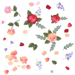 Roses and bell flowers isolated on white background. Design elements.