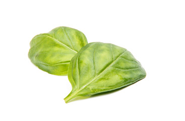 Basil isolated