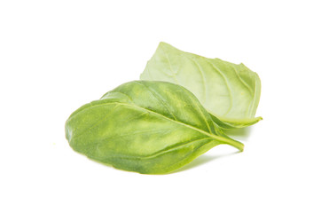Basil isolated