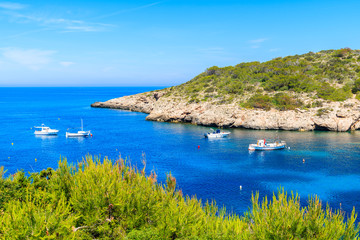 Fototapeta na wymiar Green plants on cliff and view of boats on sea in Cala Portinatx bay, Ibiza island, Spain