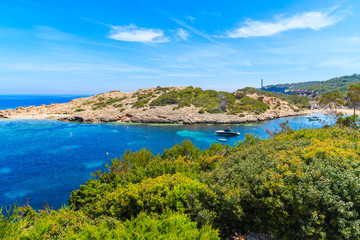 Fototapeta na wymiar Green plants on cliff and view of boats on sea in Cala Portinatx bay, Ibiza island, Spain