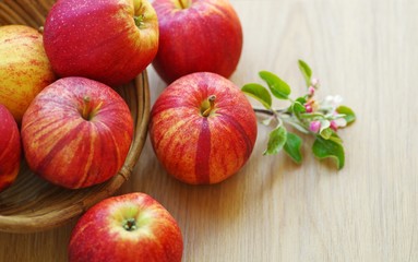 Ripe apples fruit on a old wooden basket with apple flowers on a rustic wood table for healthy life.