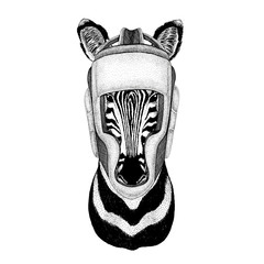 Zebra Horse Wild boxer Boxing animal Sport fitness illutration Wild animal wearing boxer helmet Boxing protection Image for t-shirt, poster, banner