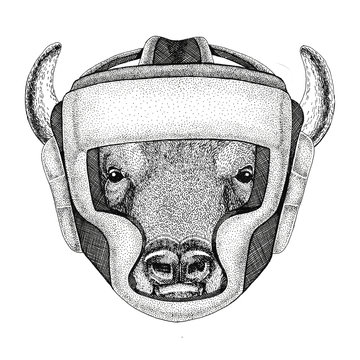 Buffalo, bison,ox, bull Wild boxer Boxing animal Sport fitness illutration Wild animal wearing boxer helmet Boxing protection Image for t-shirt, poster, banner