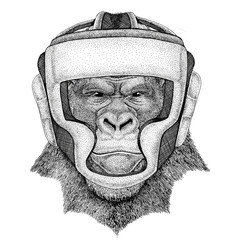 Gorilla, monkey, ape Wild boxer Boxing animal Sport fitness illutration Wild animal wearing boxer helmet Boxing protection Image for t-shirt, poster, banner