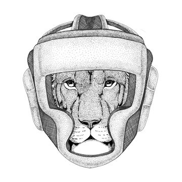 Wild Lion Wild boxer Boxing animal Sport fitness illutration Wild animal wearing boxer helmet Boxing protection Image for t-shirt, poster, banner