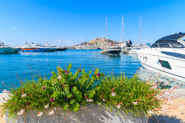 Luxury motor boats in Ibiza (Eivissa) port on Ibiza island, Spain
